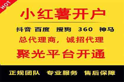 百度竞价推广公司经典案例解析：广告投放策略的智慧